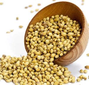 coriander seeds