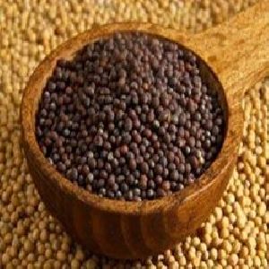 mustard seeds