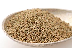 Best Quality Celery seed