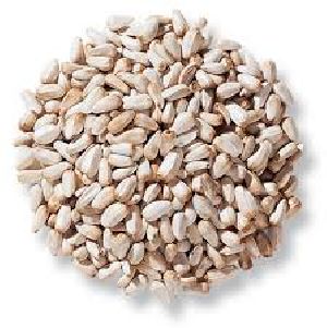 Fine Quality Safflower Seed