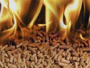 biomass pellet