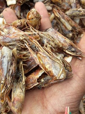Dry Shrimps Shells / Dry Prawns Heads