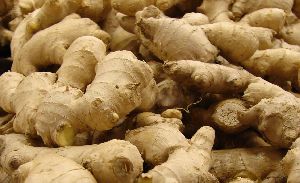 fresh ginger