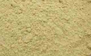 fennel powder