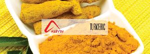 turmeric