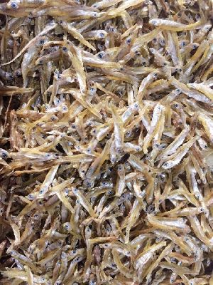 Dried Golden Anchovy