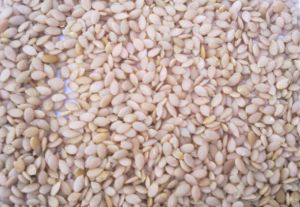 Egusi Seeds