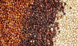 Quinoa Seeds