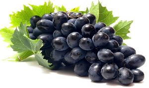 fresh black grapes