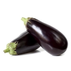 fresh brinjal