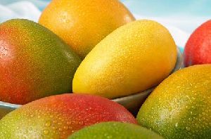 fresh mango