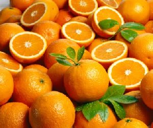 Citrus Fruit