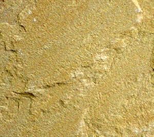 Katni Yellow Sandstone Slabs