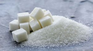 refined sugar,  Shelf Life : 1year