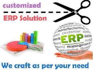 Customized ERP Software Development Services