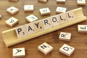 Payroll Software Development Services