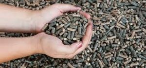 Sunflower Husk Pellets