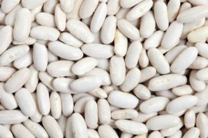 white kidney beans,  Material : Beans