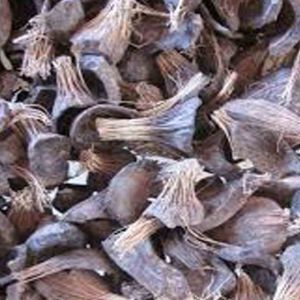 Palm Kernel Shell