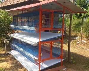 high tech poultry cages