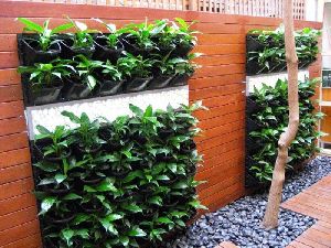 vertical Gardening/ Green Wall