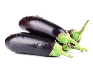 fresh brinjal