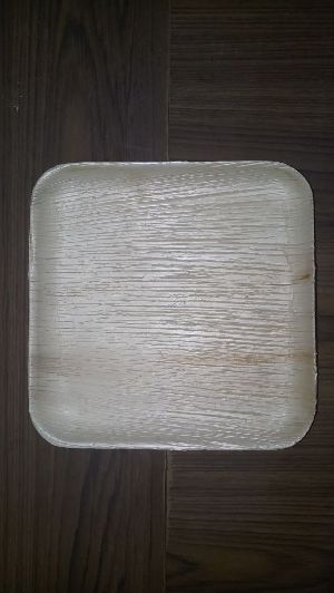 Areca Leaf square Plate1