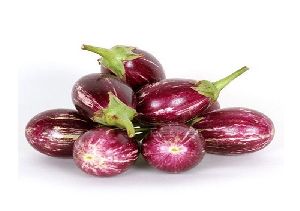 fresh brinjal