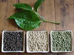 Penja Black Pepper Penja Black Pepper