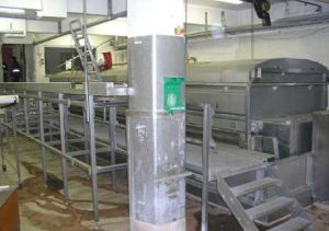 Paneer Making Machine