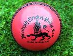 Pink Cricket Ball