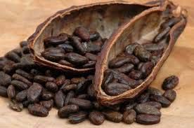 cocoa beans