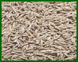 cumin seed