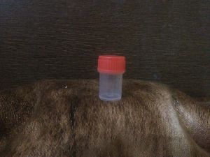 Half Dram Homeopathic Transparent Plastic Bottle