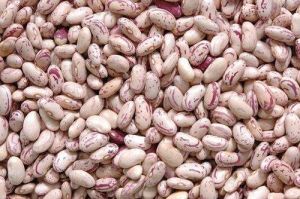Speckled Kidney Bean