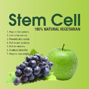 Stem Cells Syrup
