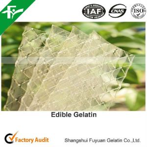 Gelatin Sheet Gelatin Sheet