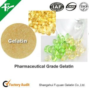 Pharmaceutical Gelatin Powder, Brand Name : Fuyuan