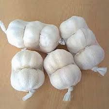 fresh garlic