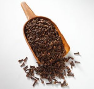 cloves seeds