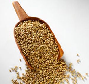 Coriander Seeds