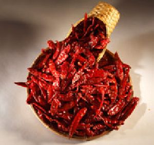 dry red chilli