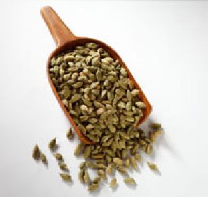 Green Cardamom