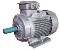 three phase electric motor