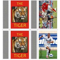 Safety Matches (The Tiger)