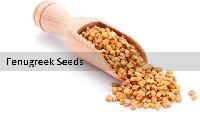 fenugreek seed