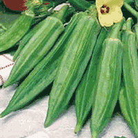 Okra Seeds