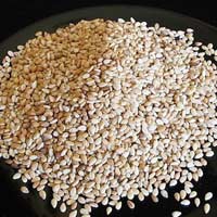 sesame seeds