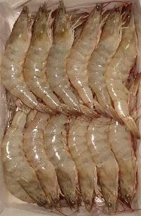 Vannamei White Shrimps
