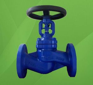 Globe Valve